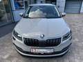 Skoda Karoq Style 2.0 TDI 4x4*STANDHZ*Virtual Cockpit* Grau - thumbnail 13