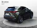Lexus NX 300 Hybrid Premium Verde - thumbnail 7