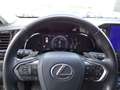 Lexus NX 300 Hybrid Premium Verde - thumbnail 15