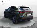 Lexus NX 300 Hybrid Premium Verde - thumbnail 5