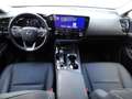 Lexus NX 300 Hybrid Premium Verde - thumbnail 13