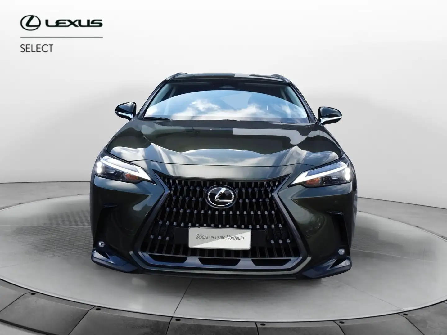 Lexus NX 300 Hybrid Premium Verde - 2