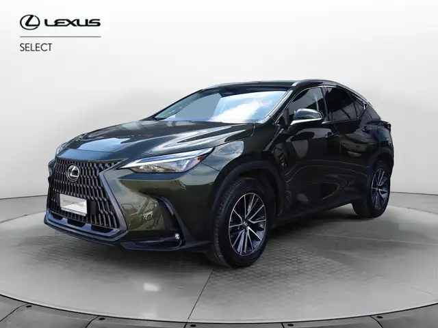 Lexus NX 300 Hybrid Premium