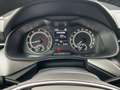 Skoda Kamiq Kamiq 1.0 TSI Clever Bleu - thumbnail 13