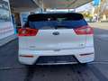 Kia Niro Spirit Weiß - thumbnail 6