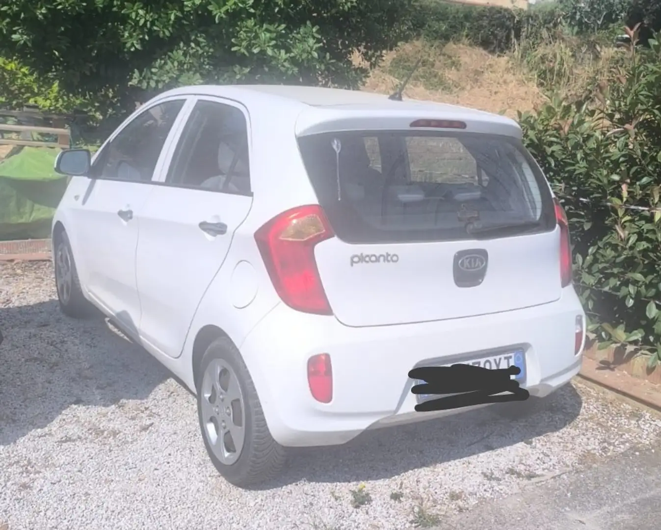 Kia Picanto Picanto II 20111.0 Easy 5p Bianco - 2