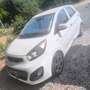 Kia Picanto Picanto II 20111.0 Easy 5p Bianco - thumbnail 1