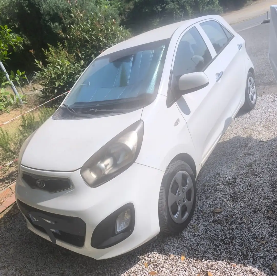Kia Picanto Picanto II 20111.0 Easy 5p Bianco - 1