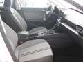 SEAT Leon NUEVO 5 PUERTAS FAM. 2.0 TDI 110KW S/S STYLE DSG S Wit - thumbnail 6