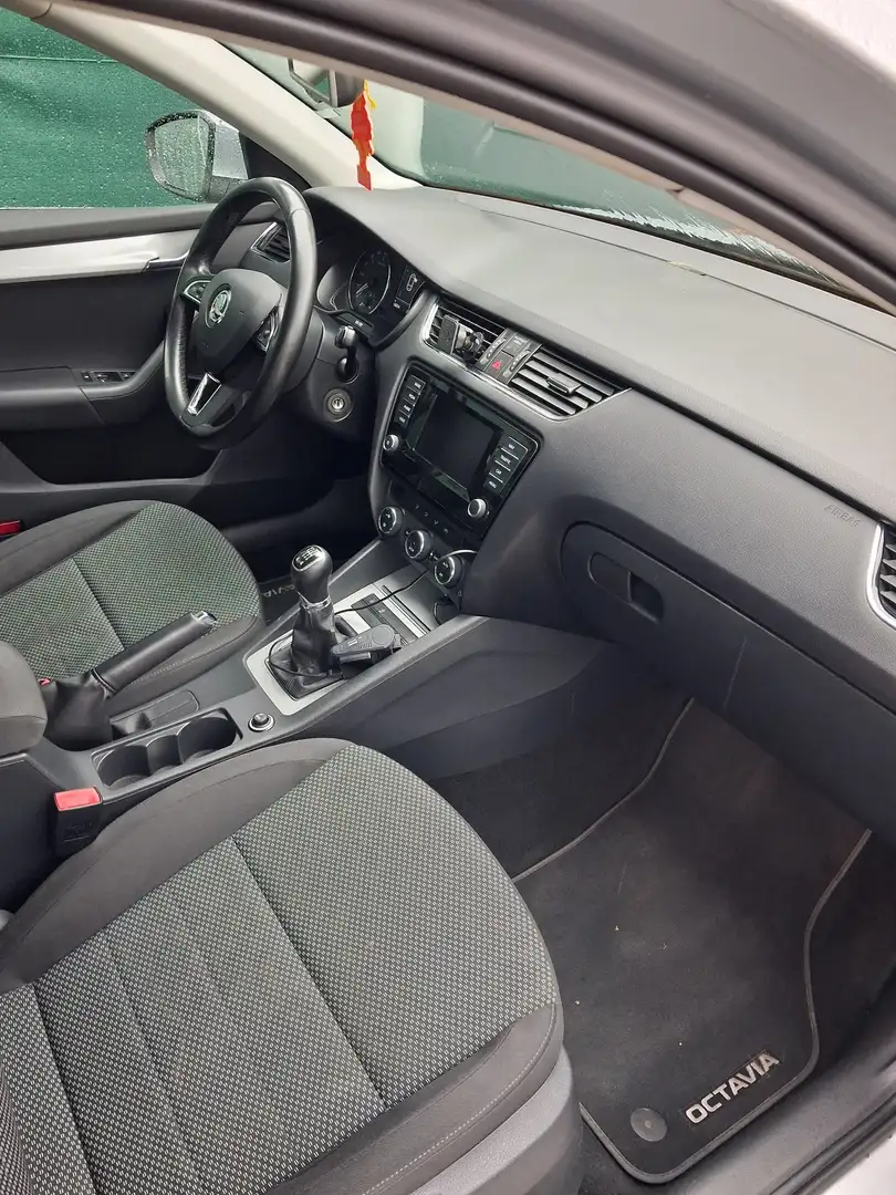 Skoda Octavia Wagon 2.0 tdi cr Ambition 4x4 150cv - 2