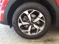 Kia Sportage 1.6 ECOGPL Business Class *GARANZIA KIA* Rosso - thumbnail 4