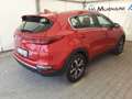 Kia Sportage 1.6 ECOGPL Business Class *GARANZIA KIA* Rosso - thumbnail 12