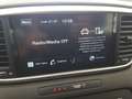 Kia Sportage 1.6 ECOGPL Business Class *GARANZIA KIA* Rosso - thumbnail 7