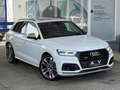 Audi SQ5 Diesel Quattro Aut. Weiß - thumbnail 2