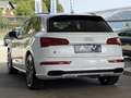 Audi SQ5 Diesel Quattro Aut. Weiß - thumbnail 14