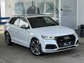 Audi SQ5 Diesel Quattro Aut. Weiß - thumbnail 3