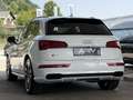 Audi SQ5 Diesel Quattro Aut. Weiß - thumbnail 13