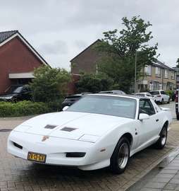Trans Am U9 GTA