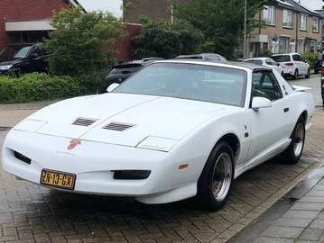 Trans Am U9 GTA