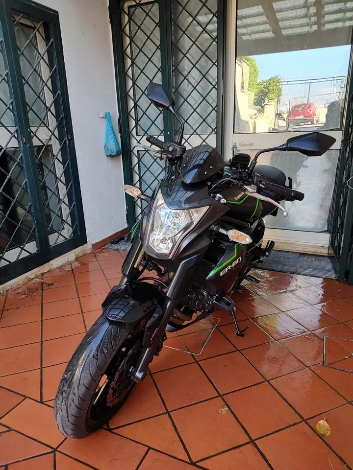 Kawasaki ER