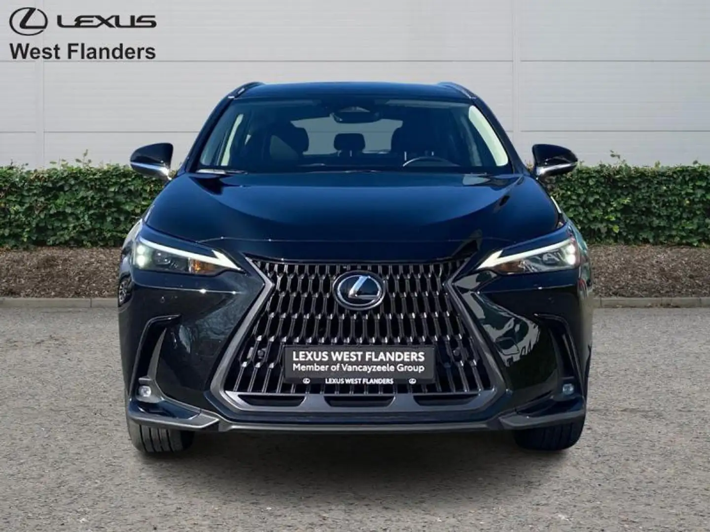 Lexus NX 350h Business line AWD+afn. trekhaa Fekete - 2