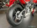 Ducati Rojo - thumbnail 3