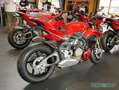 Ducati Rojo - thumbnail 2