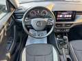 Skoda Kamiq 1.0 g-tec Ambition 90cv,UNICO PROP,NAVY,PDC,LED,C. Grigio - thumbnail 10