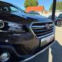 Subaru OUTBACK Outback 2,5i Premium AWD CVT Braun - thumbnail 8