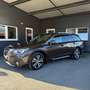 Subaru OUTBACK Outback 2,5i Premium AWD CVT Braun - thumbnail 2