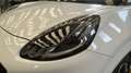 Ford Puma 1.0 ECOBOOST 92KW MHEV ST-LINE X 125CV 5P Blanco - thumbnail 18