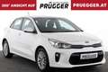 Kia Rio SILBER 1.2 MPI KLIMAAUTOMATIK KAMERA 16ZOLL Weiß - thumbnail 3