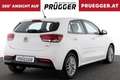 Kia Rio SILBER 1.2 MPI KLIMAAUTOMATIK KAMERA 16ZOLL Weiß - thumbnail 4