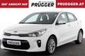Kia Rio SILBER 1.2 MPI KLIMAAUTOMATIK KAMERA 16ZOLL Weiß - thumbnail 1