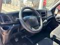 Iveco Daily 35S14N 3.0 CNG PM Cab. FRIGO -10 GRADI CON ATP FIN Blanc - thumbnail 19