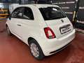 Fiat 500 1.0 hybrid Pop 70cv - TAGLIANDATA! Blanc - thumbnail 2
