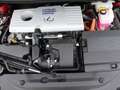Lexus CT 200h | Parkeersensoren | 16" Velgen | Bluetooth Carkit Rot - thumbnail 32