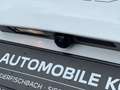 Kia XCeed GT Line T-GDI 1.6 Leder, Navi, JBL Sound Blanc - thumbnail 17