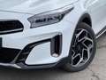 Kia XCeed GT Line T-GDI 1.6 Leder, Navi, JBL Sound Blanc - thumbnail 19