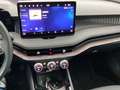 Skoda Superb Combi 2.0TSI DSG 4x4 L&K AHK Gris - thumbnail 14