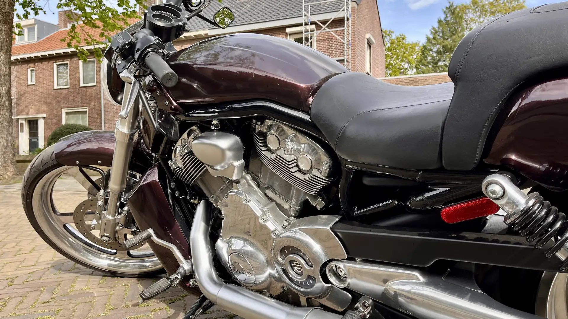 Harley-Davidson V-Rod MUSCLE (VRSC-F), custom wheel, low km, 1250cc Zwart - 2