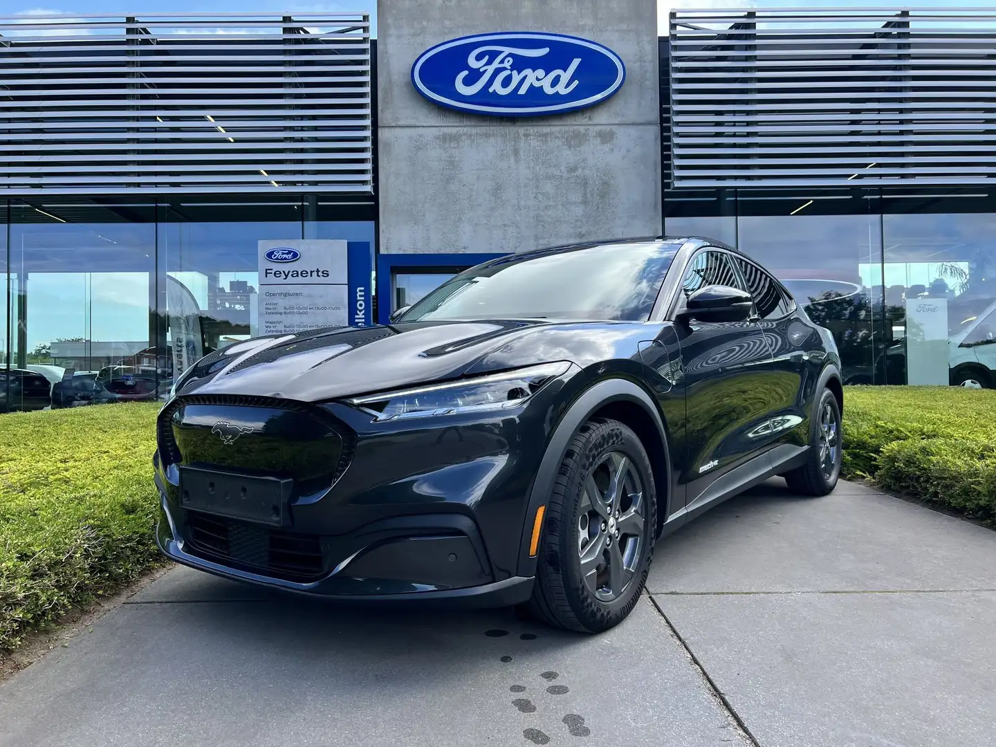 Ford Mustang Mach-E RWD / 76 kWh / 269 PK!! - 2