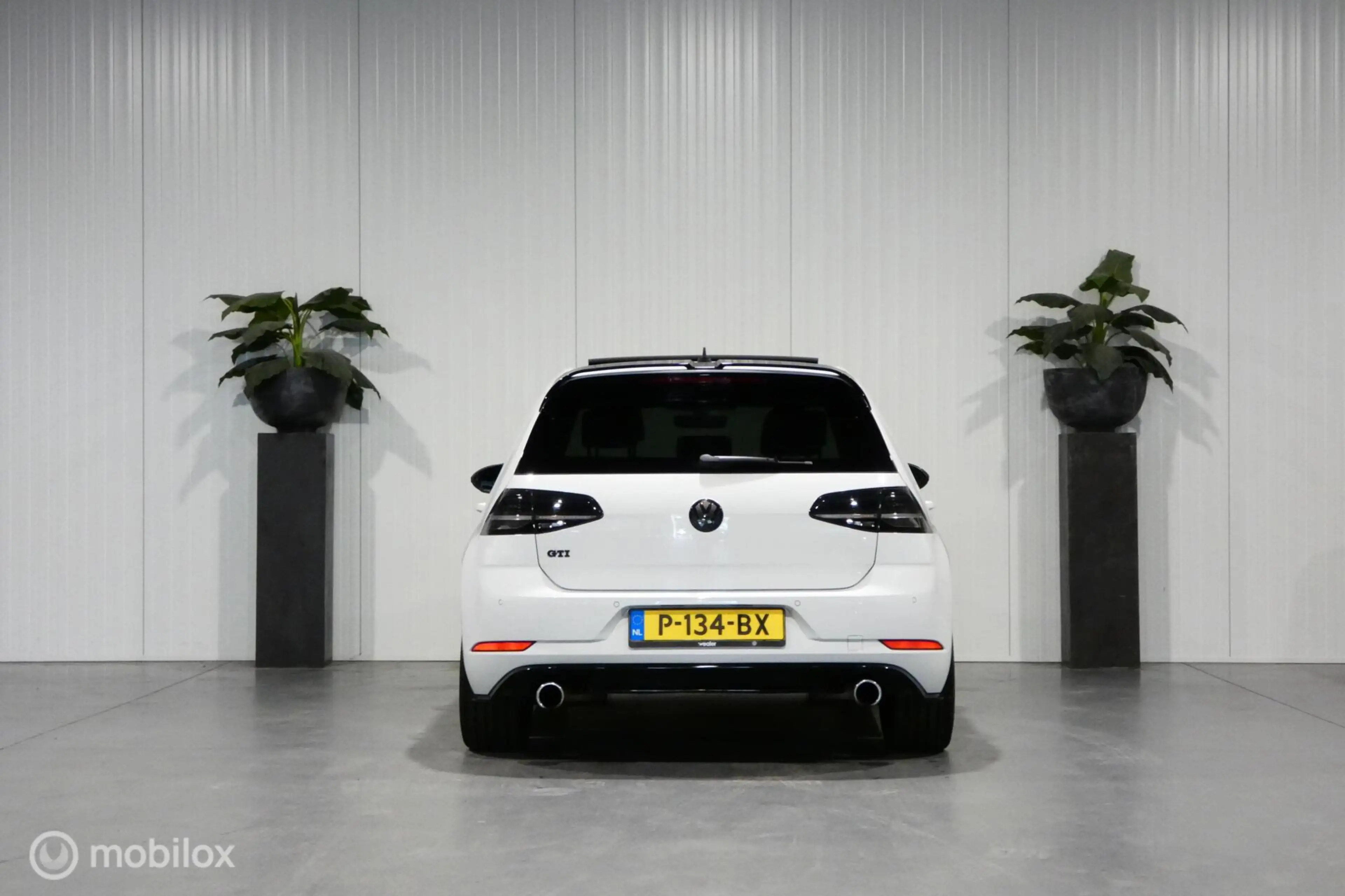 Volkswagen Golf GTI 2.0 TSI Performance — photo 7