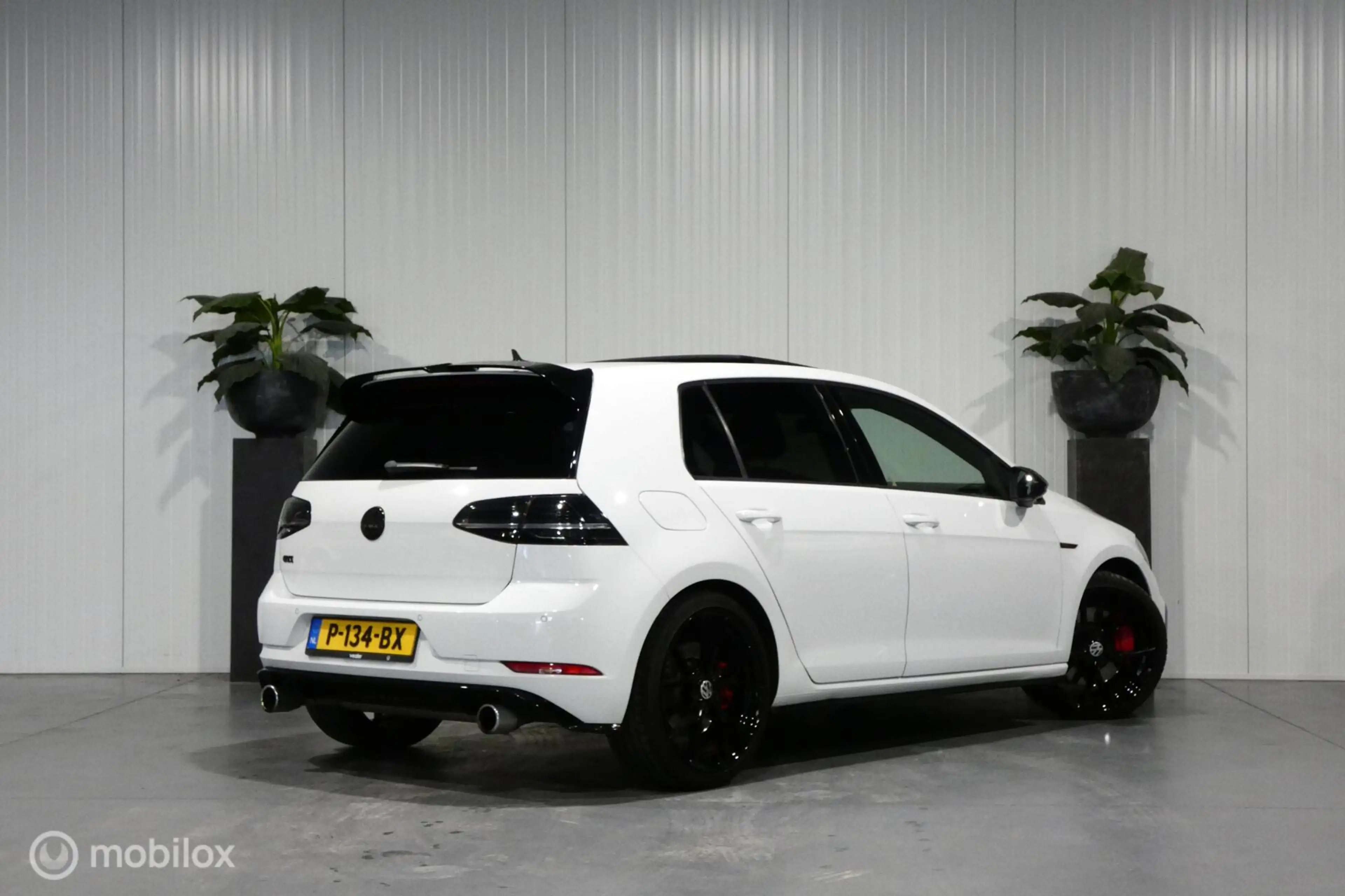 Volkswagen Golf GTI 2.0 TSI Performance — photo 5