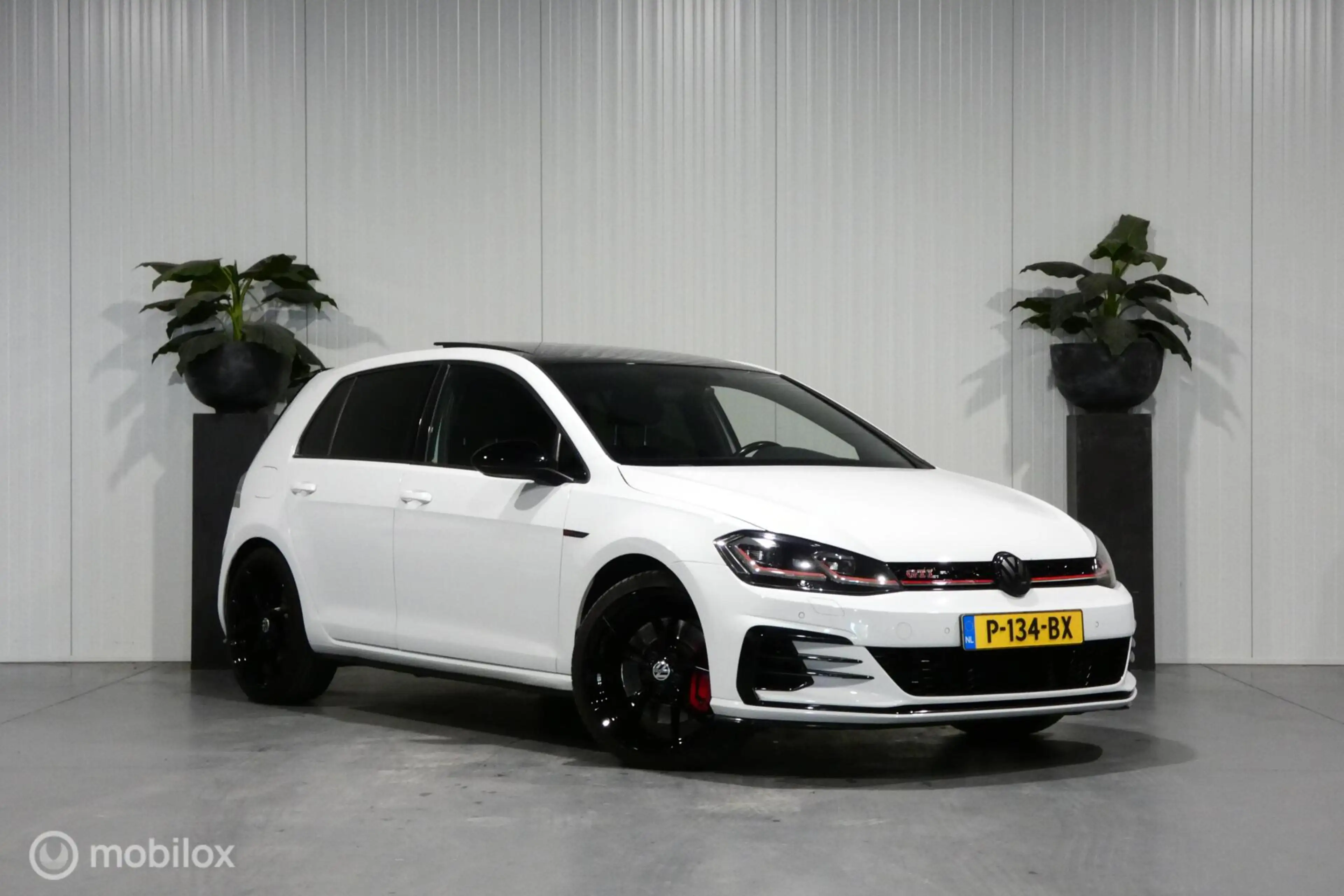 Volkswagen Golf GTI 2.0 TSI Performance — photo 2