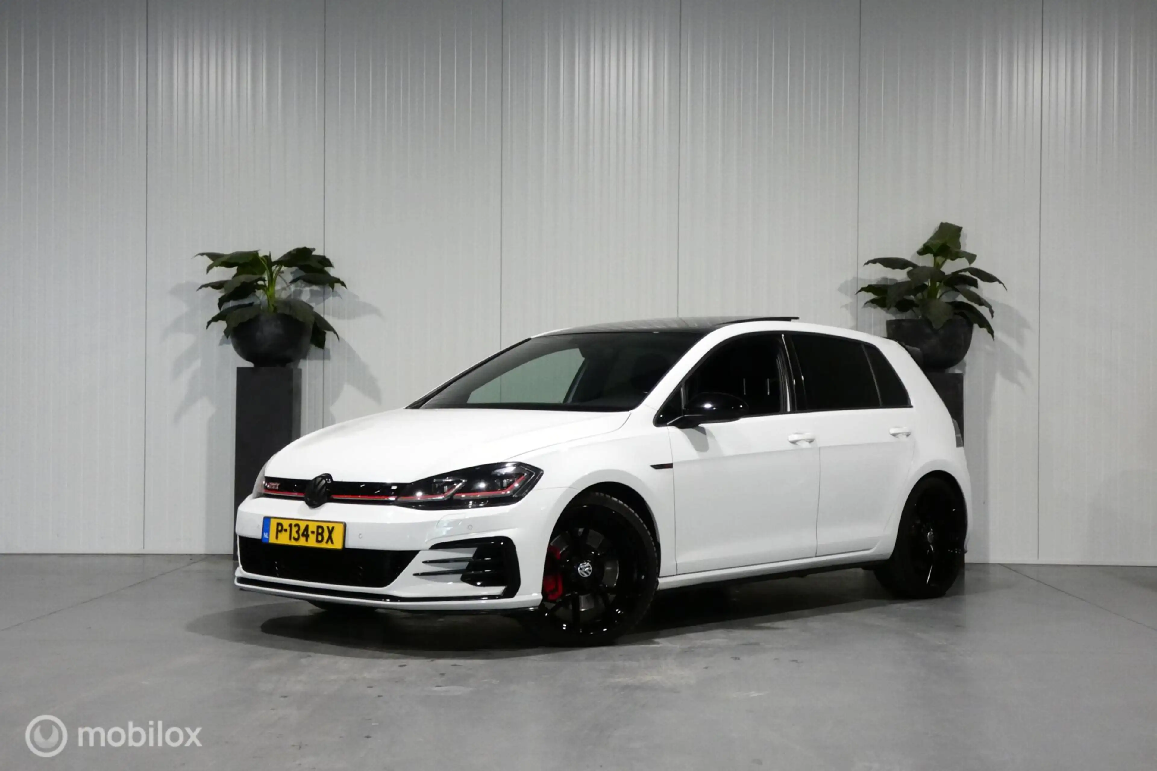 Volkswagen Golf GTI 2.0 TSI Performance