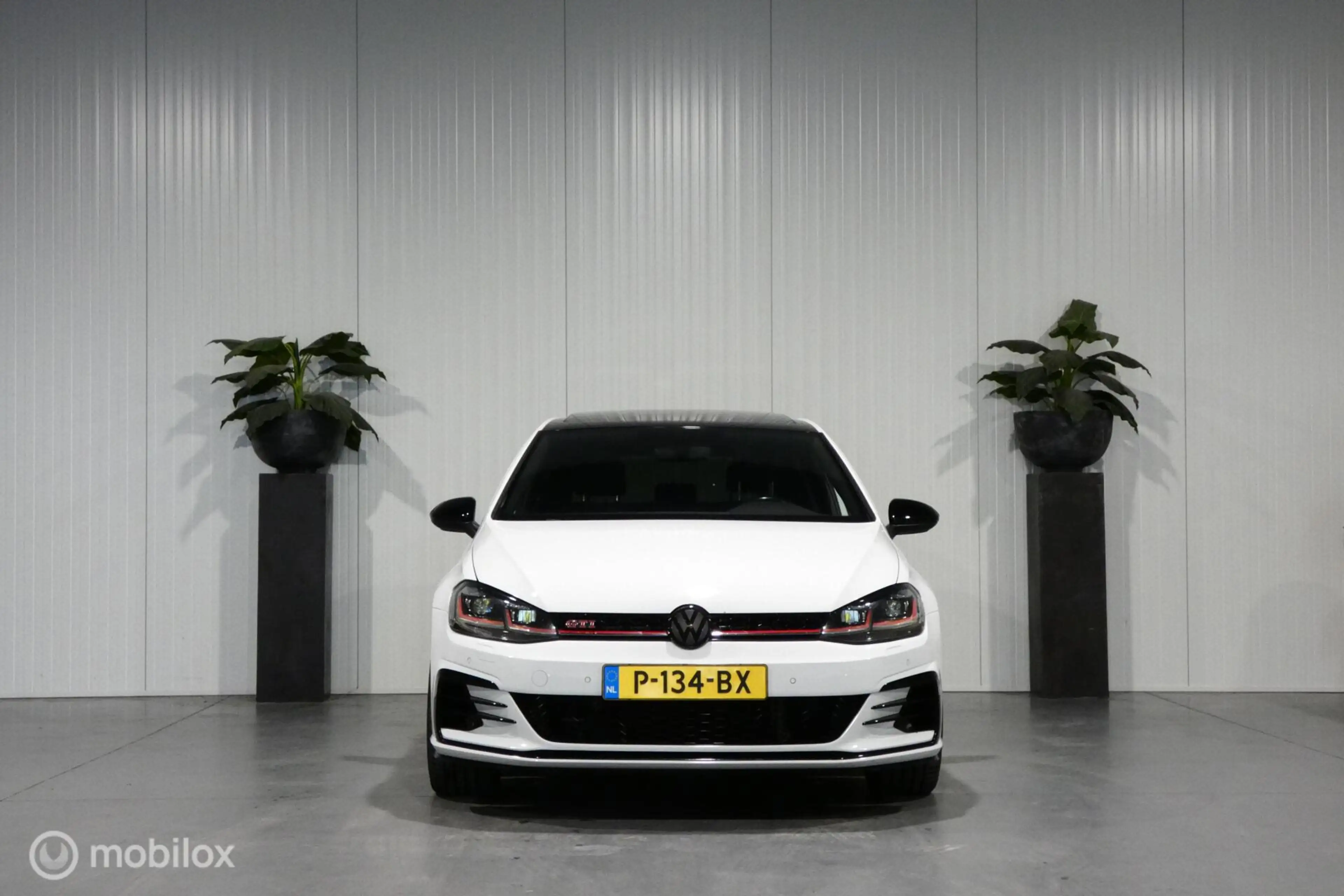 Volkswagen Golf GTI 2.0 TSI Performance — photo 6