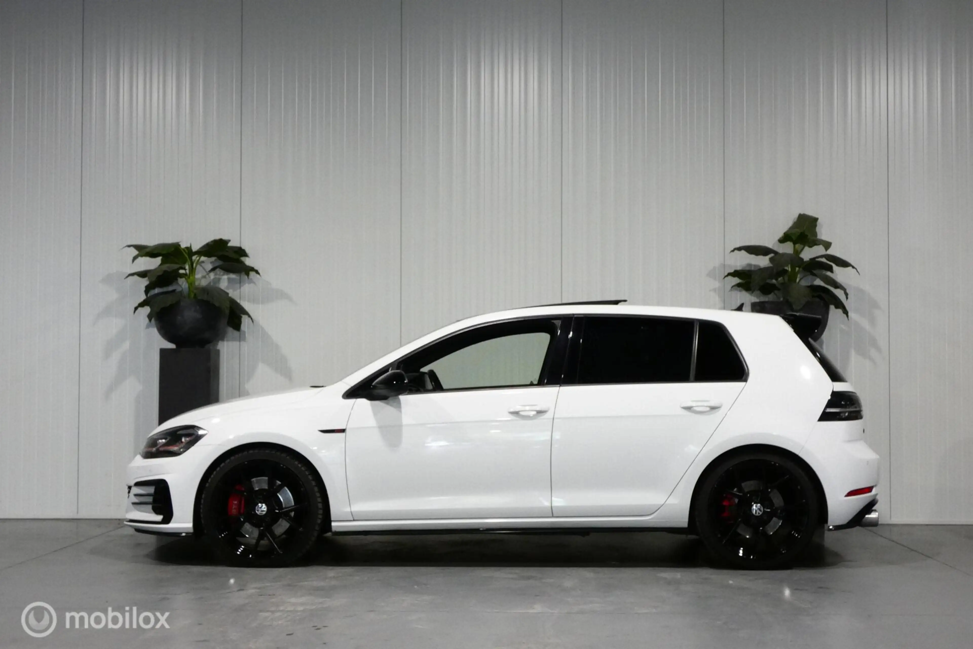 Volkswagen Golf GTI 2.0 TSI Performance — photo 3