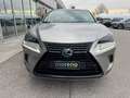 Lexus NX 300 2.5 Sport 4WD CVT Gris - thumbnail 1