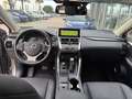 Lexus NX 300 2.5 Sport 4WD CVT Gris - thumbnail 6